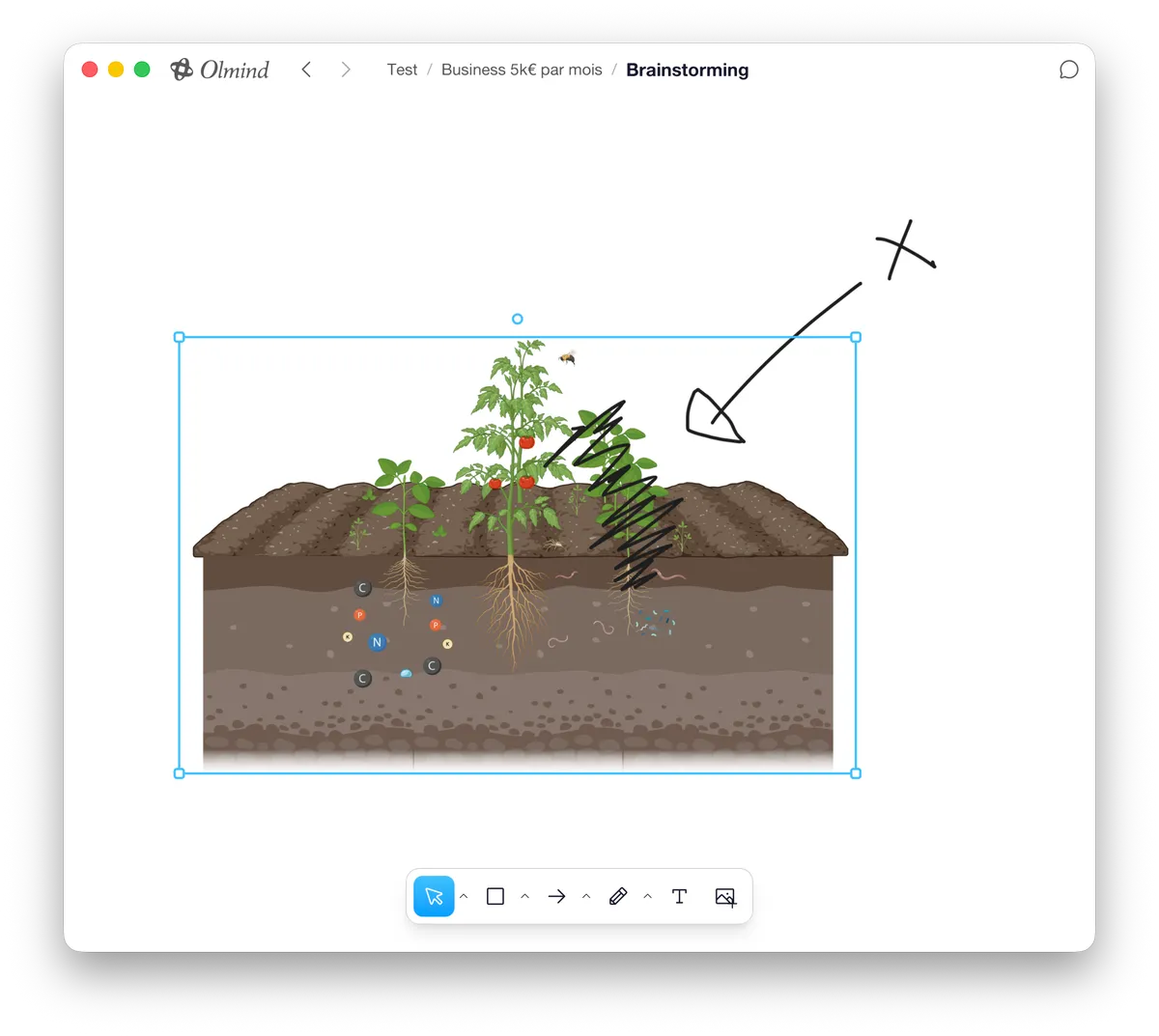 The Olmind whiteboard with an annotated image, arrows and drawing tools.